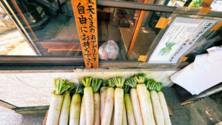 【大根がもらえるお寺?】浅草の待乳山聖天に行ったら、お下がり大根をもらえた話