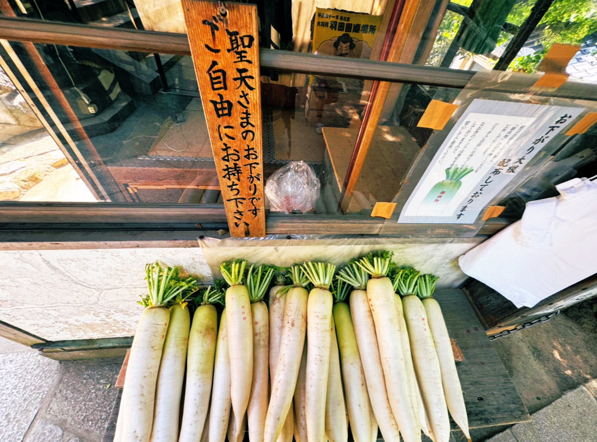 【大根がもらえるお寺？】浅草の待乳山聖天に行ったら、お下がり大根をもらえた話