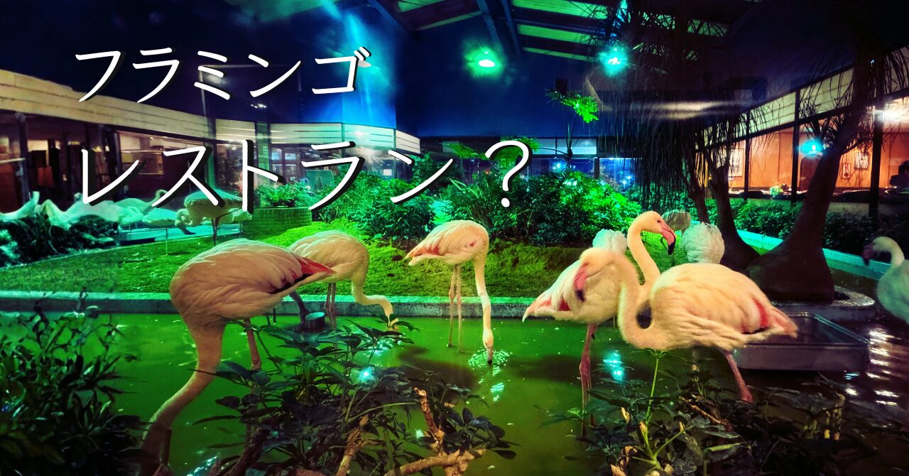 【フラミンゴ・レストラン？】茨城県・守谷市のメヒコで、カニピラフを食べてきた話