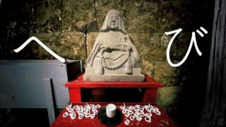 【洞窟に蛇をそなえる神社？】江島杉山神社・体験レビュー｜洞窟の参拝方法や鍼灸体験情報について